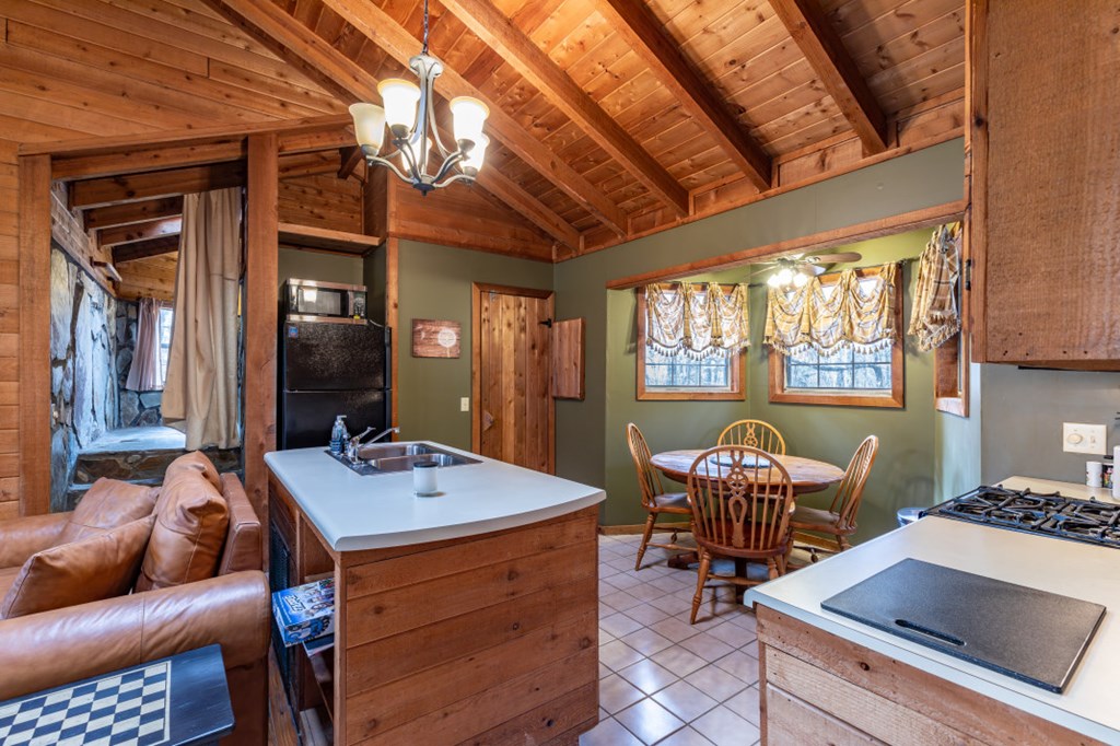 256 Nantahala Pass Road Blue Ridge, GA 30513 - Photo 17 of 30 Gallery Image 17