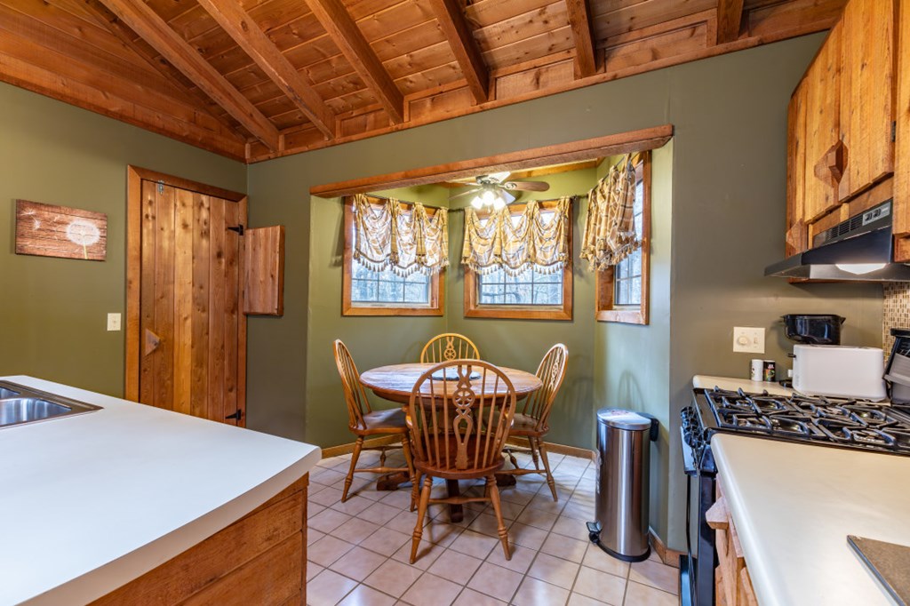 256 Nantahala Pass Road Blue Ridge, GA 30513 - Photo 18 of 30 Gallery Image 18