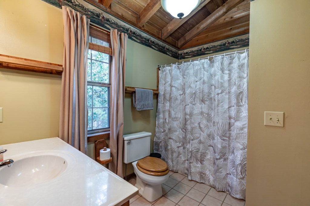 256 Nantahala Pass Road Blue Ridge, GA 30513 - Photo 8 of 30 Gallery Image 8