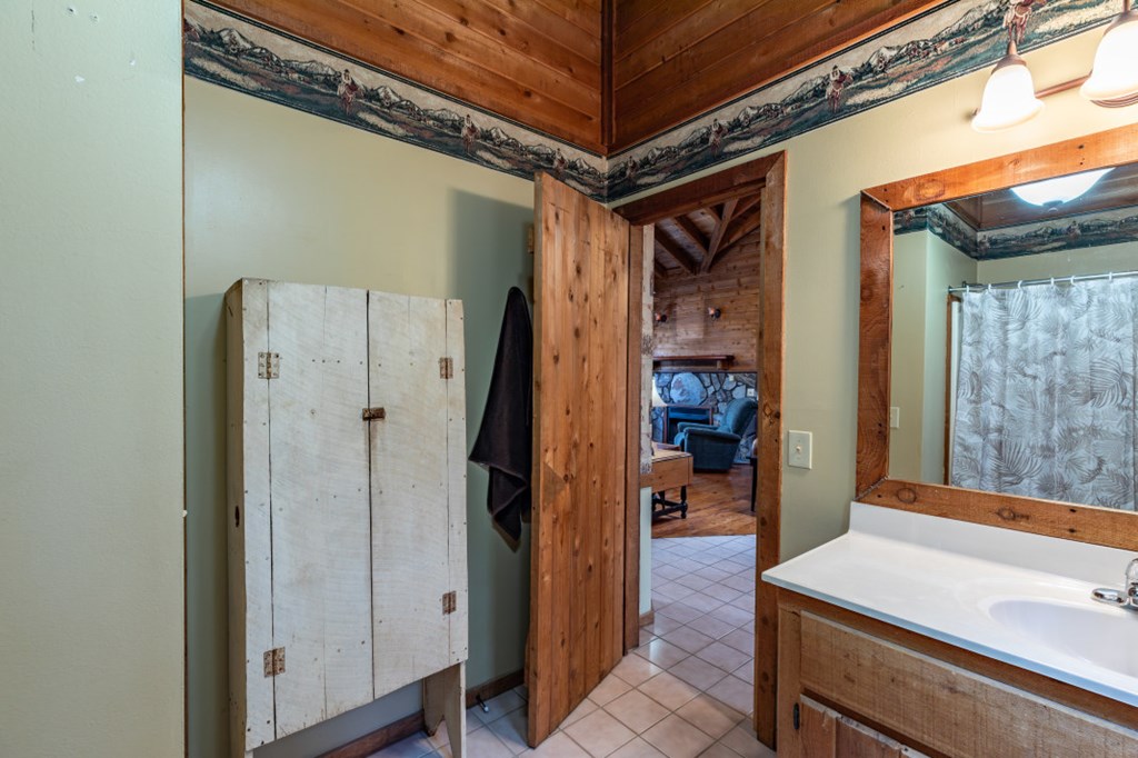 256 Nantahala Pass Road Blue Ridge, GA 30513 - Photo 10 of 30 Gallery Image 10
