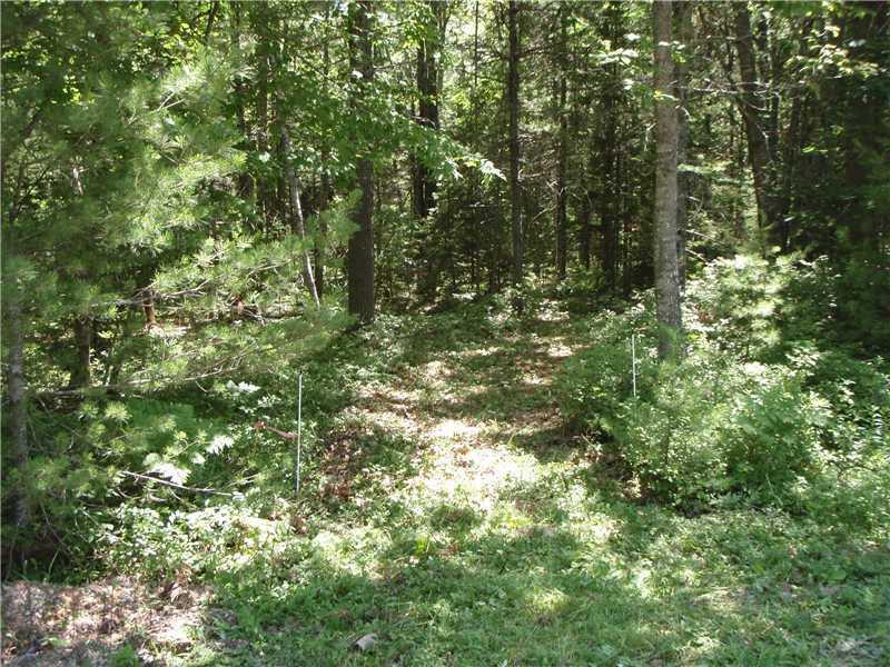 0 Oak Run Road Westport Island, ME 04578 - Photo 2 of 12 Land/Lot. Entrance to Lot