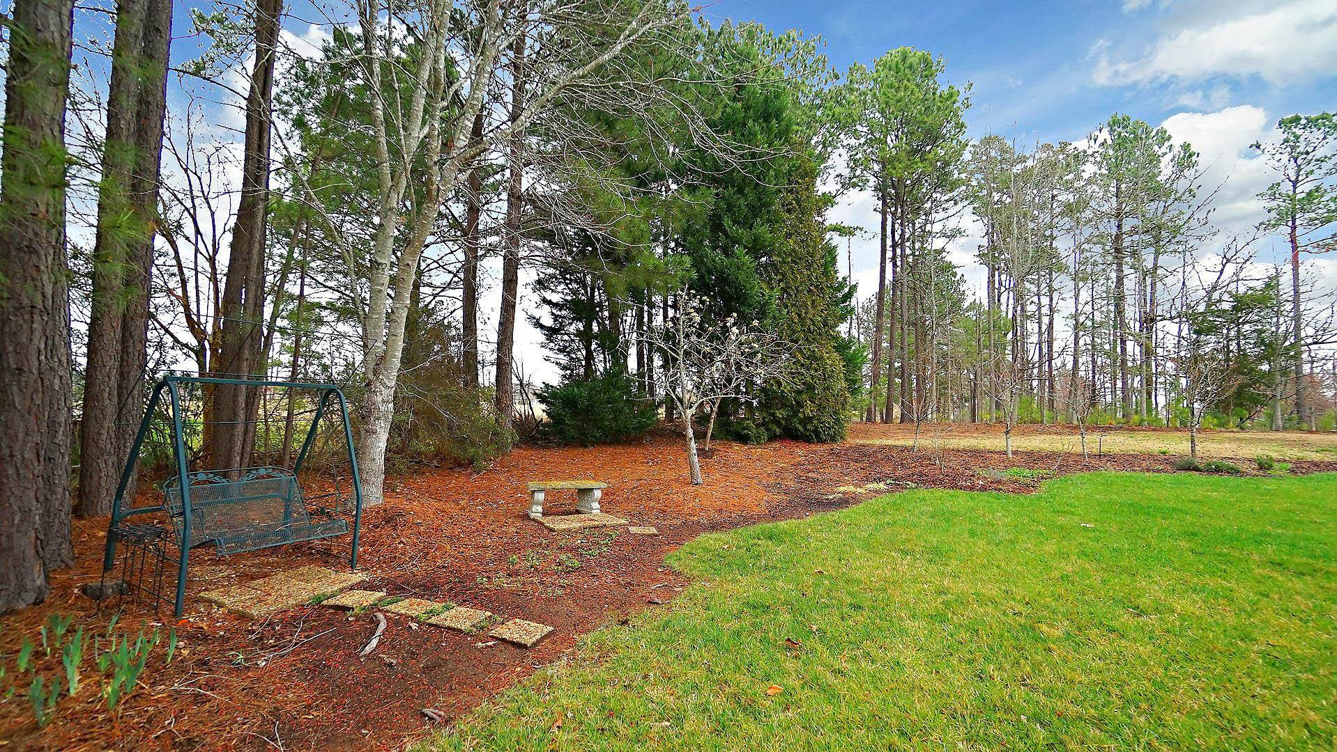 10217 Sporting Club Drive Raleigh, NC 27617 - Photo 37 of 45 Backyard