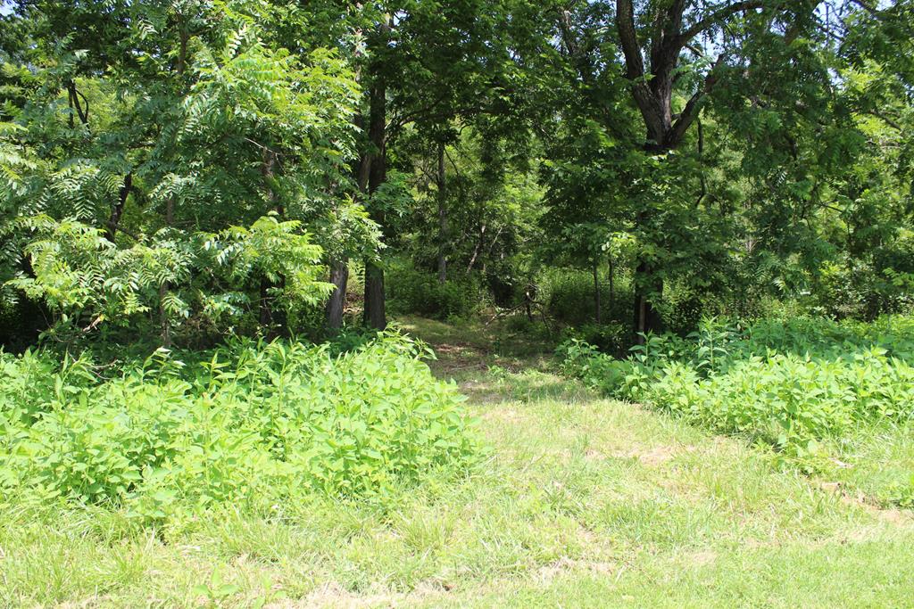 535 Powerline Road Austinville, VA 24312 - Photo 18 of 72 Gallery Image 18