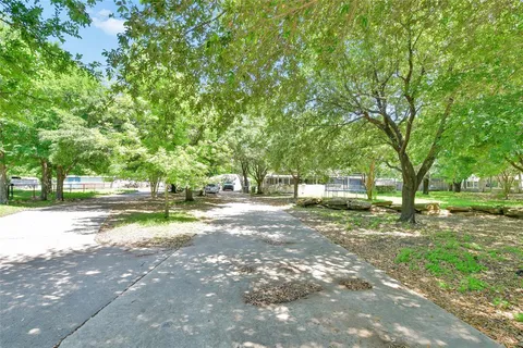 a view of yard with tree s