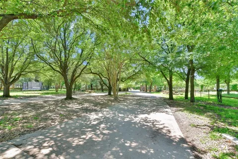 a view of a yard with plants and trees