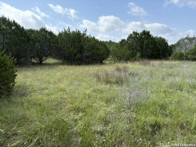 351 Ridge Point Spring Branch, TX 78070 - Photo 20 of 34