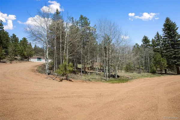 $450,000 | 1011 West Bison Creek Trail, Divide, CO 80814