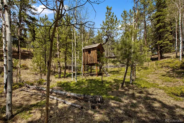 $450,000 | 1011 West Bison Creek Trail, Divide, CO 80814