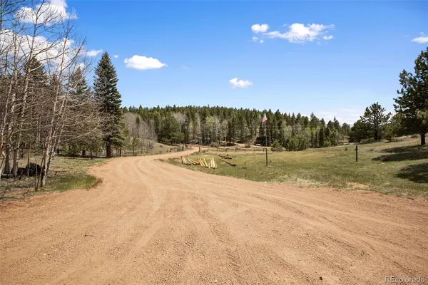 $450,000 | 1011 West Bison Creek Trail, Divide, CO 80814