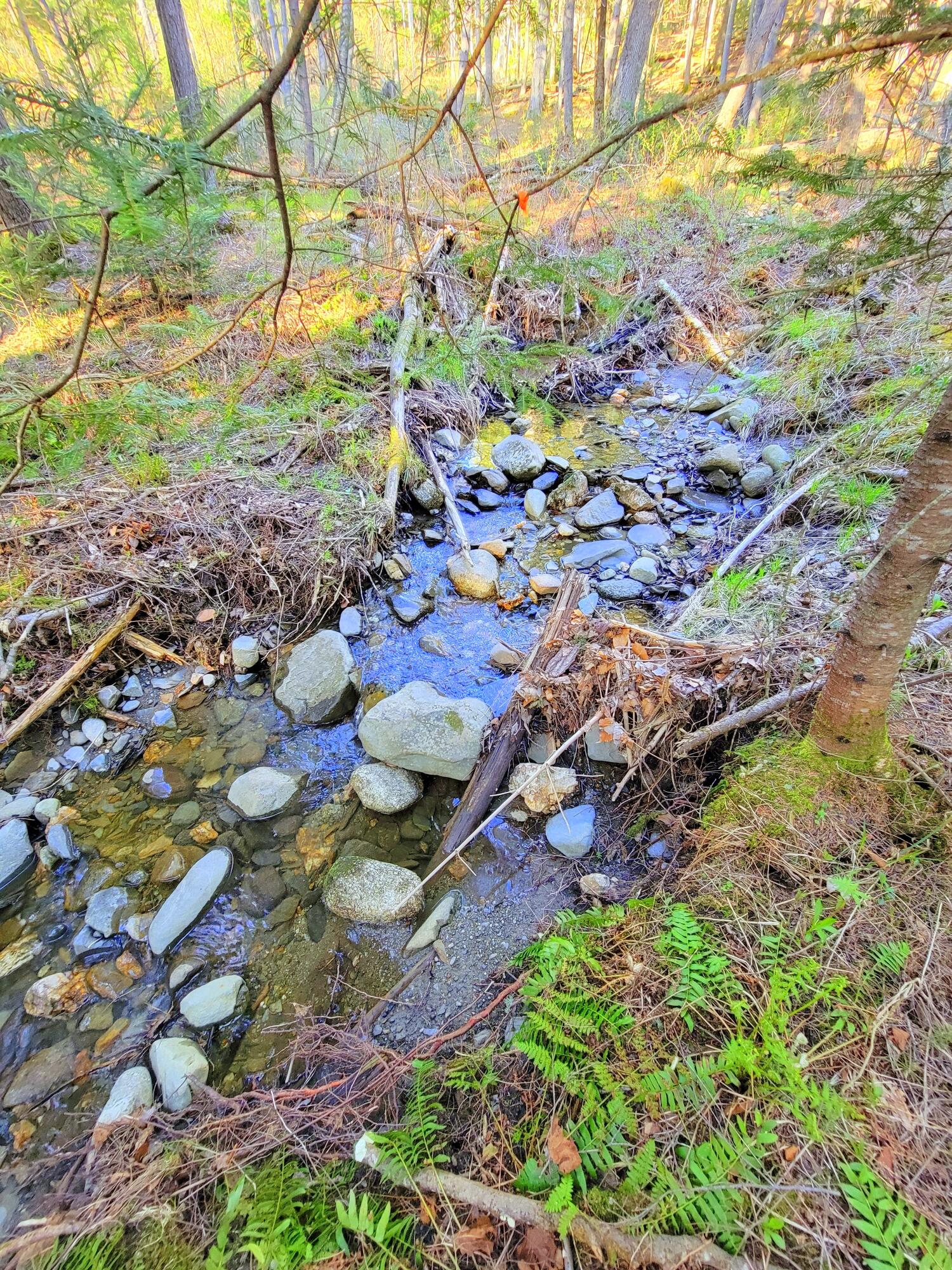 181 Brown Road Farmington, ME 04938 - Photo 105 of 110 Streams
