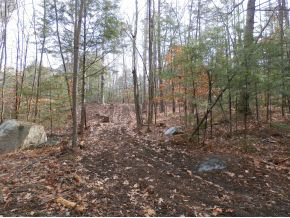 0 Reid Road Francestown, NH 03043 - Photo 1 of 6 Gallery Image 1