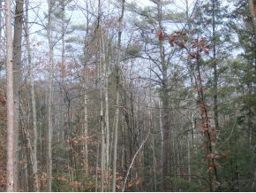 0 Reid Road Francestown, NH 03043 - Photo 3 of 6 Gallery Image 3