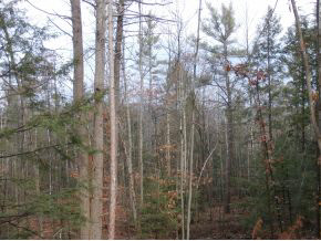 0 Reid Road Francestown, NH 03043 - Photo 4 of 6 Gallery Image 4