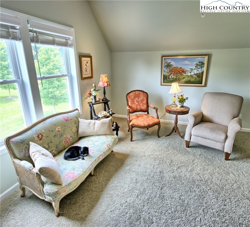 201 Don Walters Road Jefferson, NC 28640 - Photo 23 of 30 Gallery Image 23