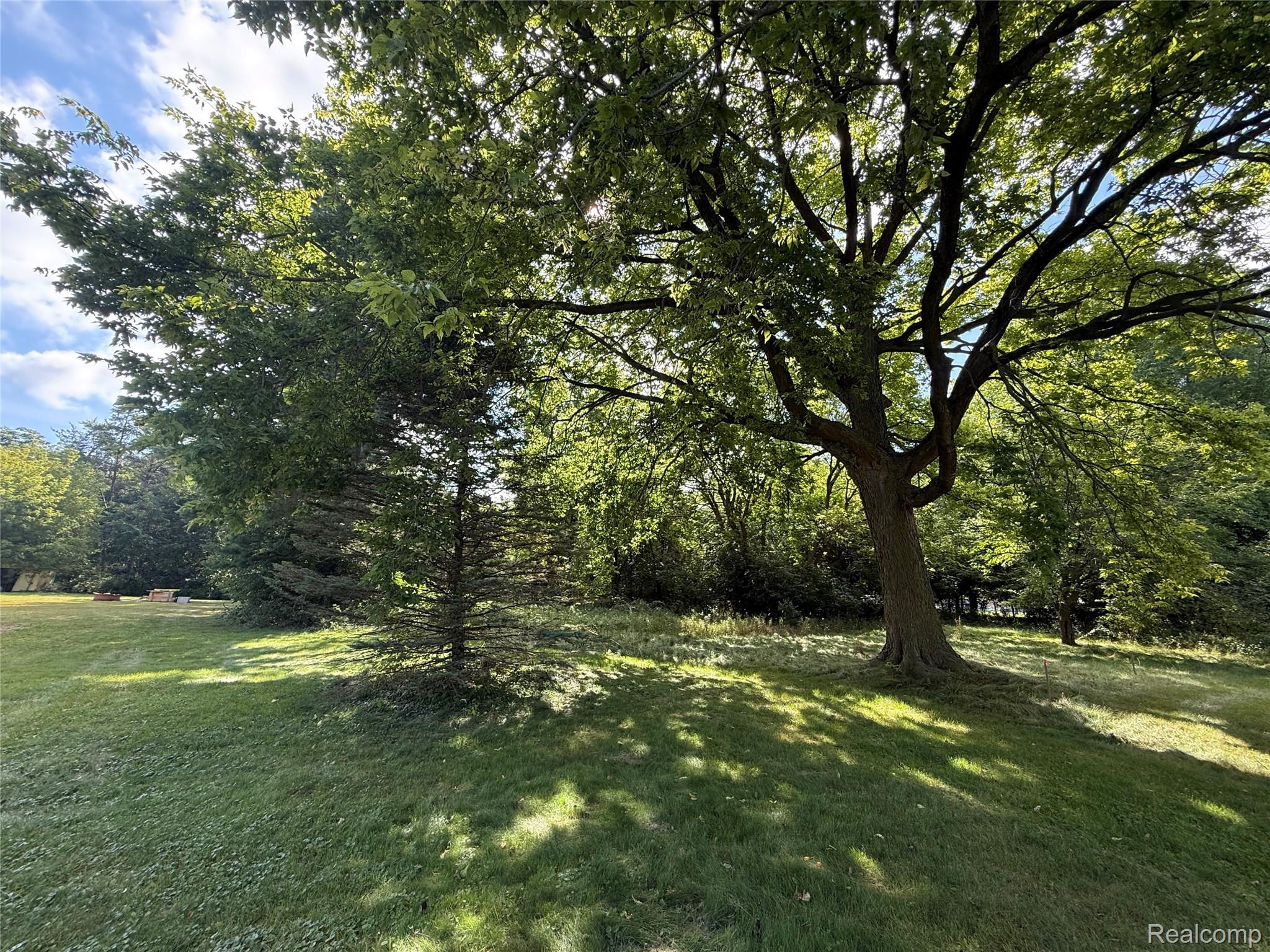 1139 Baldwin Road Lapeer, MI 48446 - Photo 4 of 10 Expansive lawn area with mature trees and natural landscaping