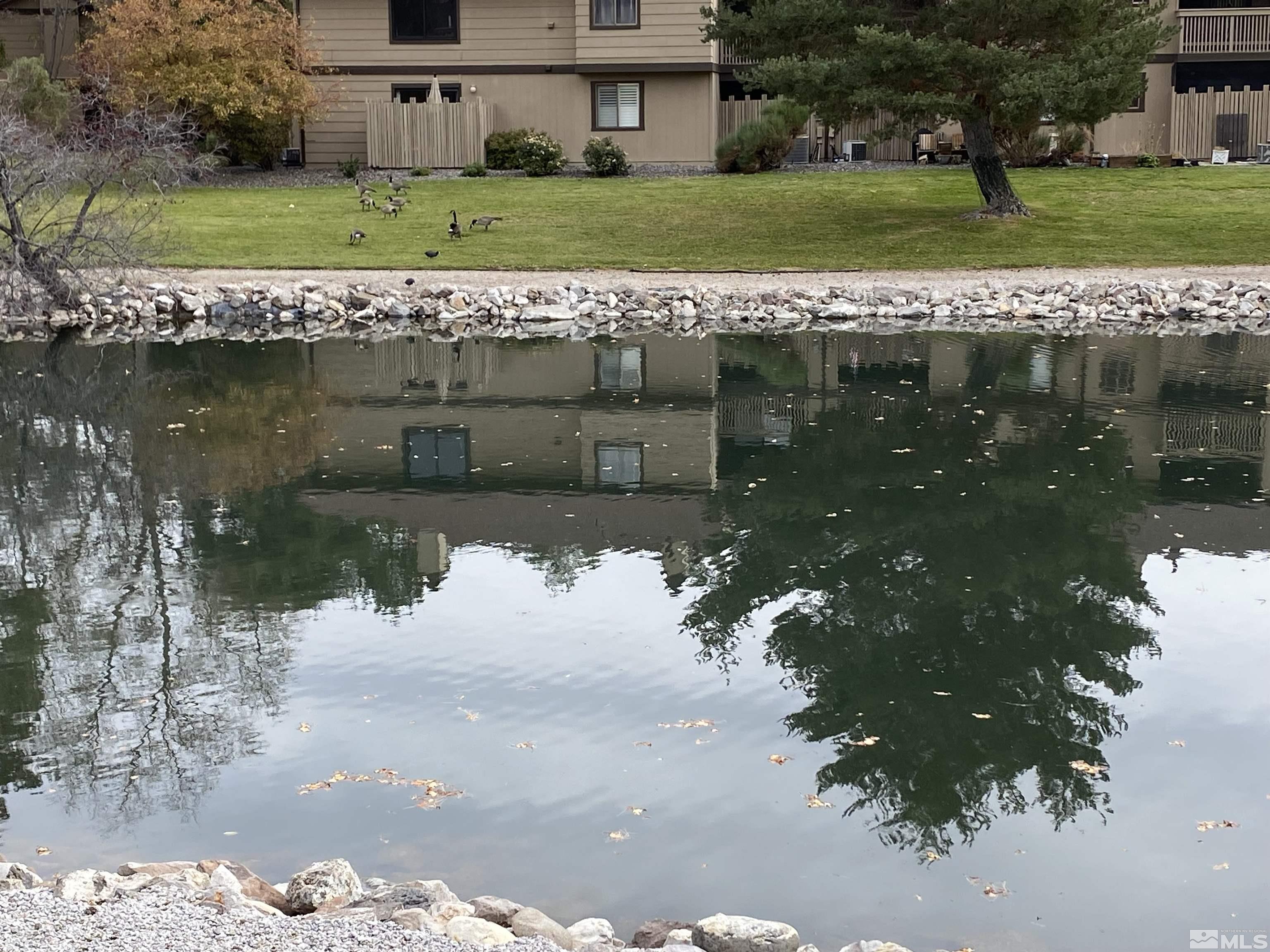 4474 Matich Drive Reno, NV 89502 - Photo 20 of 22 Photo 20