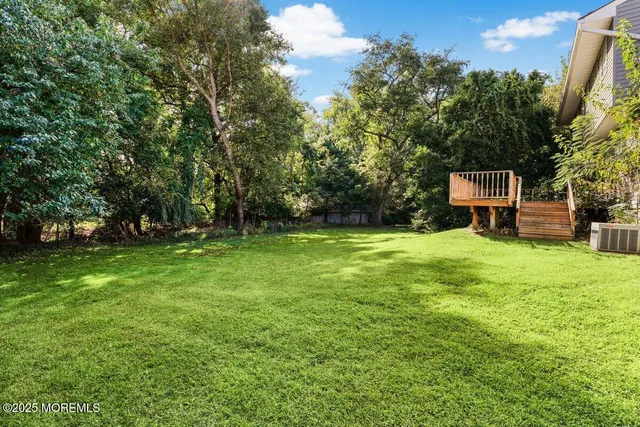 a view of a park with large trees