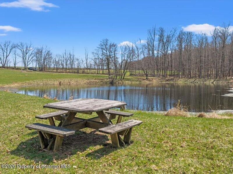 249 Lane Road Kingsley, PA 18826 - Photo 23 of 34 Pond area