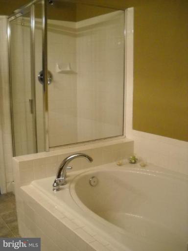 42815 Pilgrim Square Chantilly, VA 20152 - Photo 9 of 15 Master Bath #2