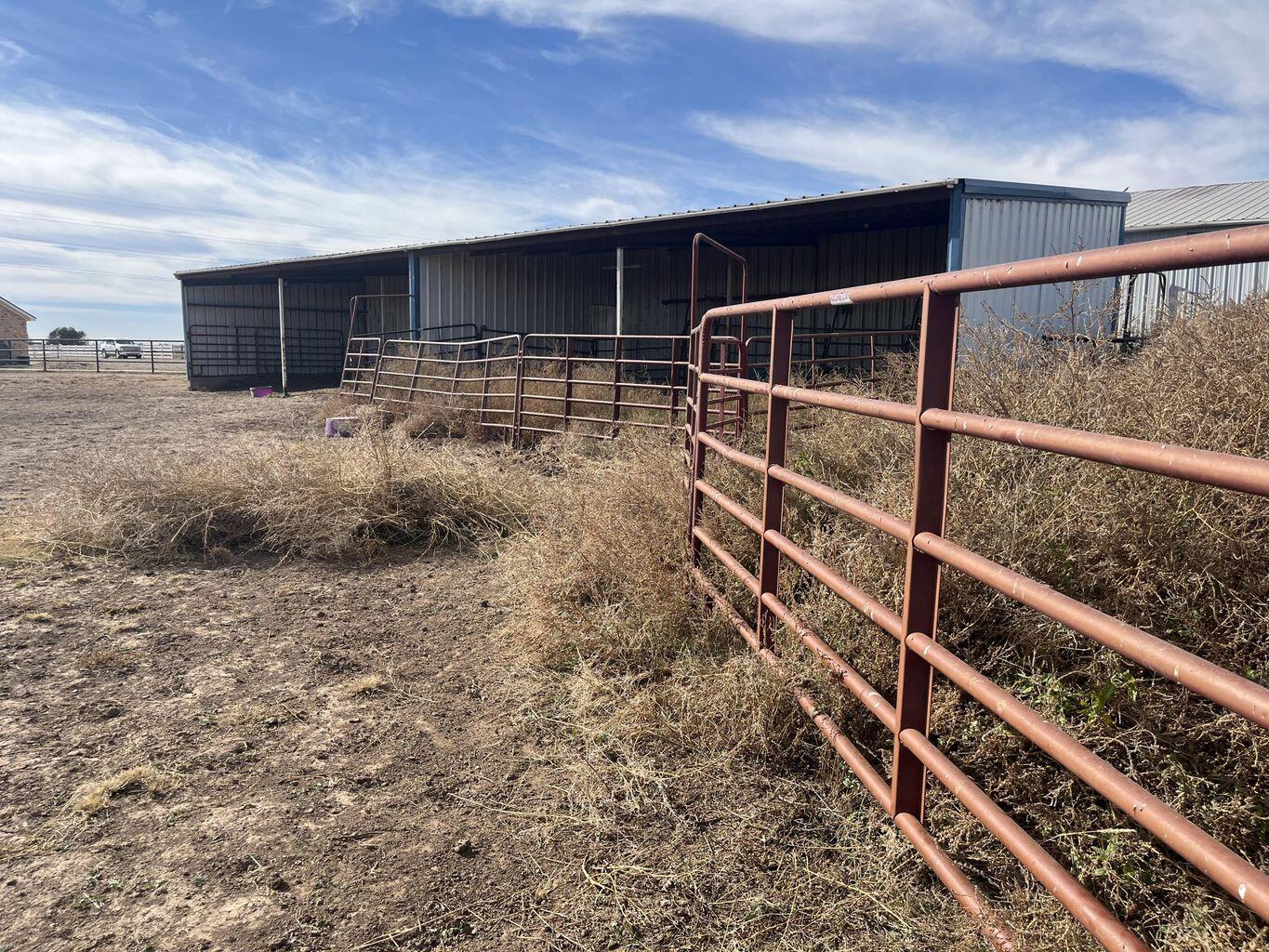 1492 Co Road Hale Center, TX 79041 - Photo 54 of 64 a view of an empty room with wooden floor