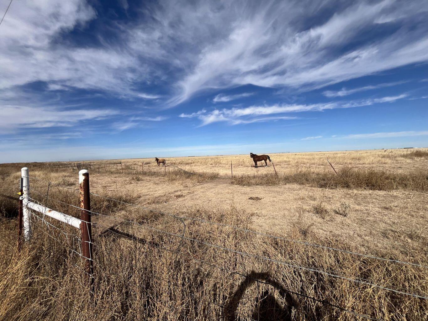 1492 Co Road Hale Center, TX 79041 - Photo 64 of 64 64