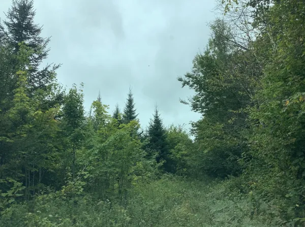 $219,900 | 3 Abel Cyr Road, Van Buren, ME 04785