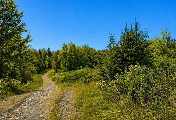 $219,900 | 3 Abel Cyr Road, Van Buren, ME 04785