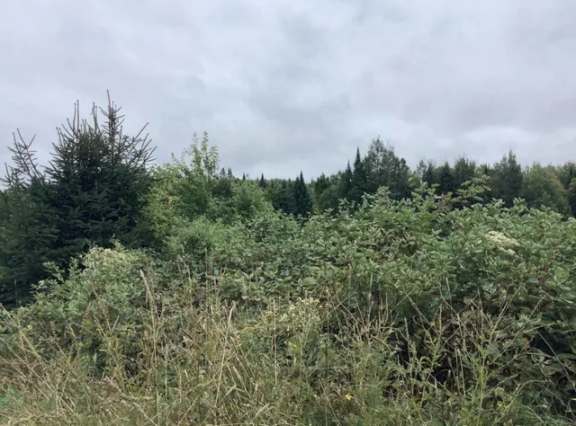 $219,900 | 3 Abel Cyr Road, Van Buren, ME 04785