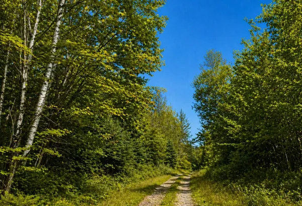 $219,900 | 3 Abel Cyr Road, Van Buren, ME 04785