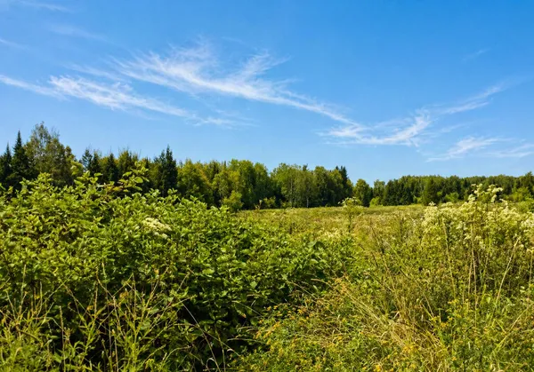 $219,900 | 3 Abel Cyr Road, Van Buren, ME 04785