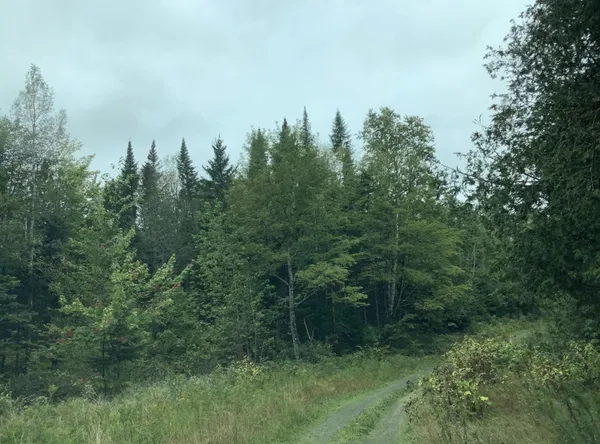 $219,900 | 3 Abel Cyr Road, Van Buren, ME 04785