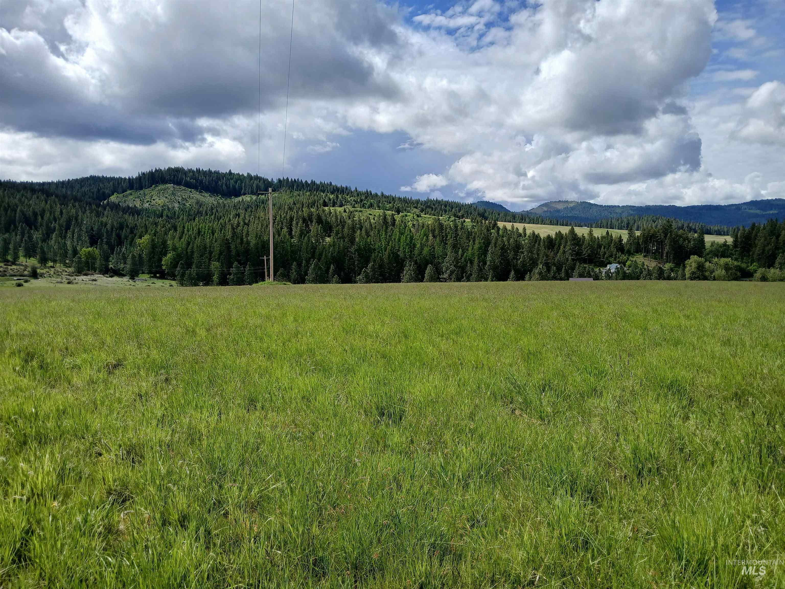 1076 Headrick Road Potlatch, ID 83855 - Photo 7 of 8 Expansive green field featuring distant forested hills and a partly cloudy sky
