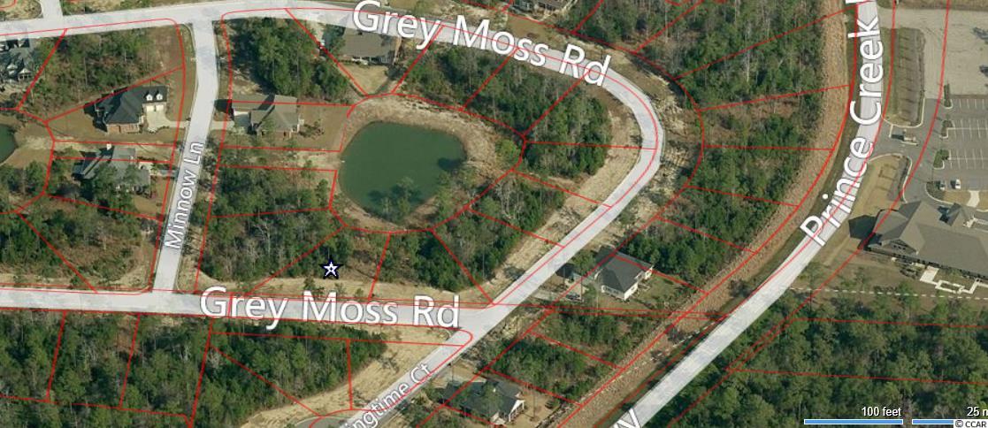 Lot 79 Gray Moss Road Murrells Inlet, SC 29576 - Photo 3 of 10 Gallery Image 3