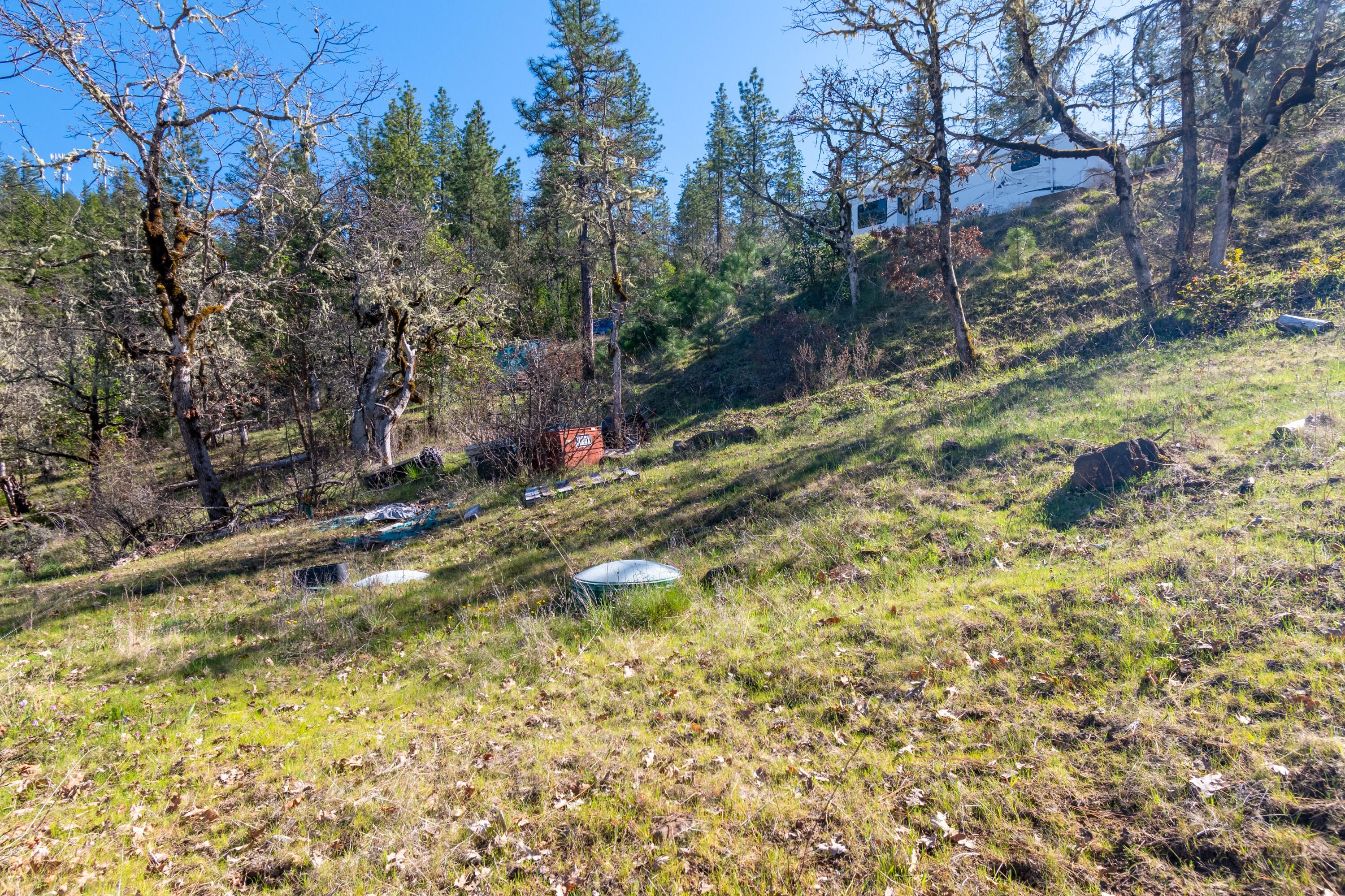 300 Citadel Road Trail, OR 97541 - Photo 13 of 25 a view of a yard with large trees