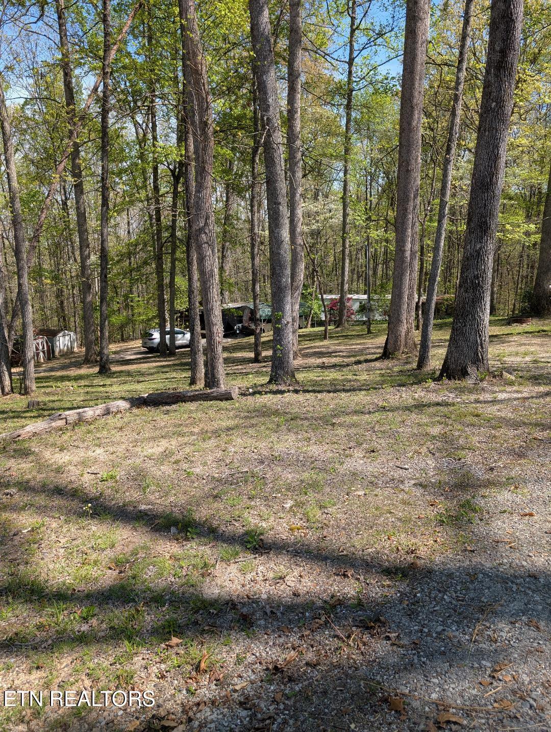 Old Jacksboro From Street