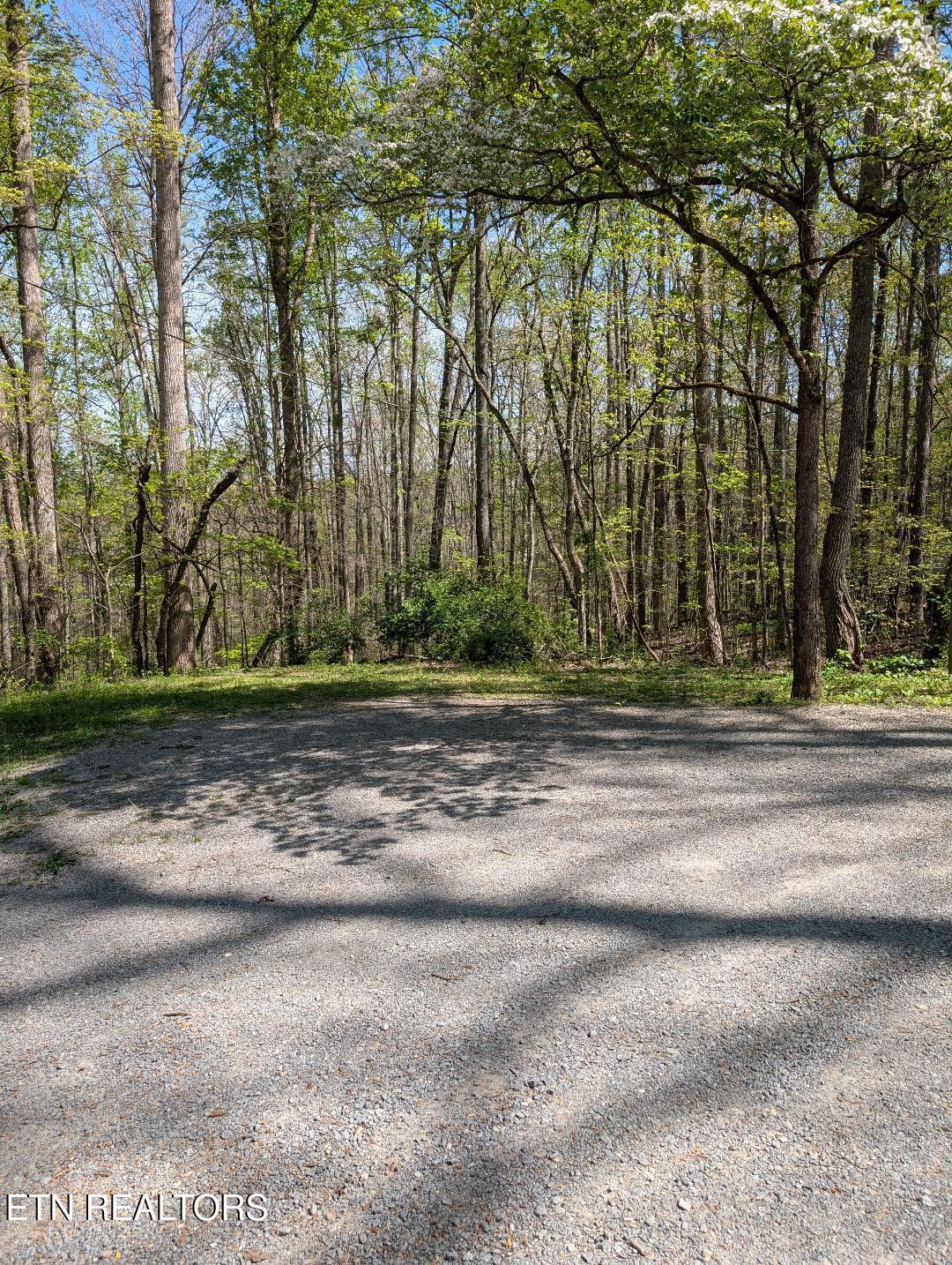 309 Old Jacksboro Pike Heiskell, TN 37754 - Photo 11 of 18 Old Jacksboro Parking Area Left Side
