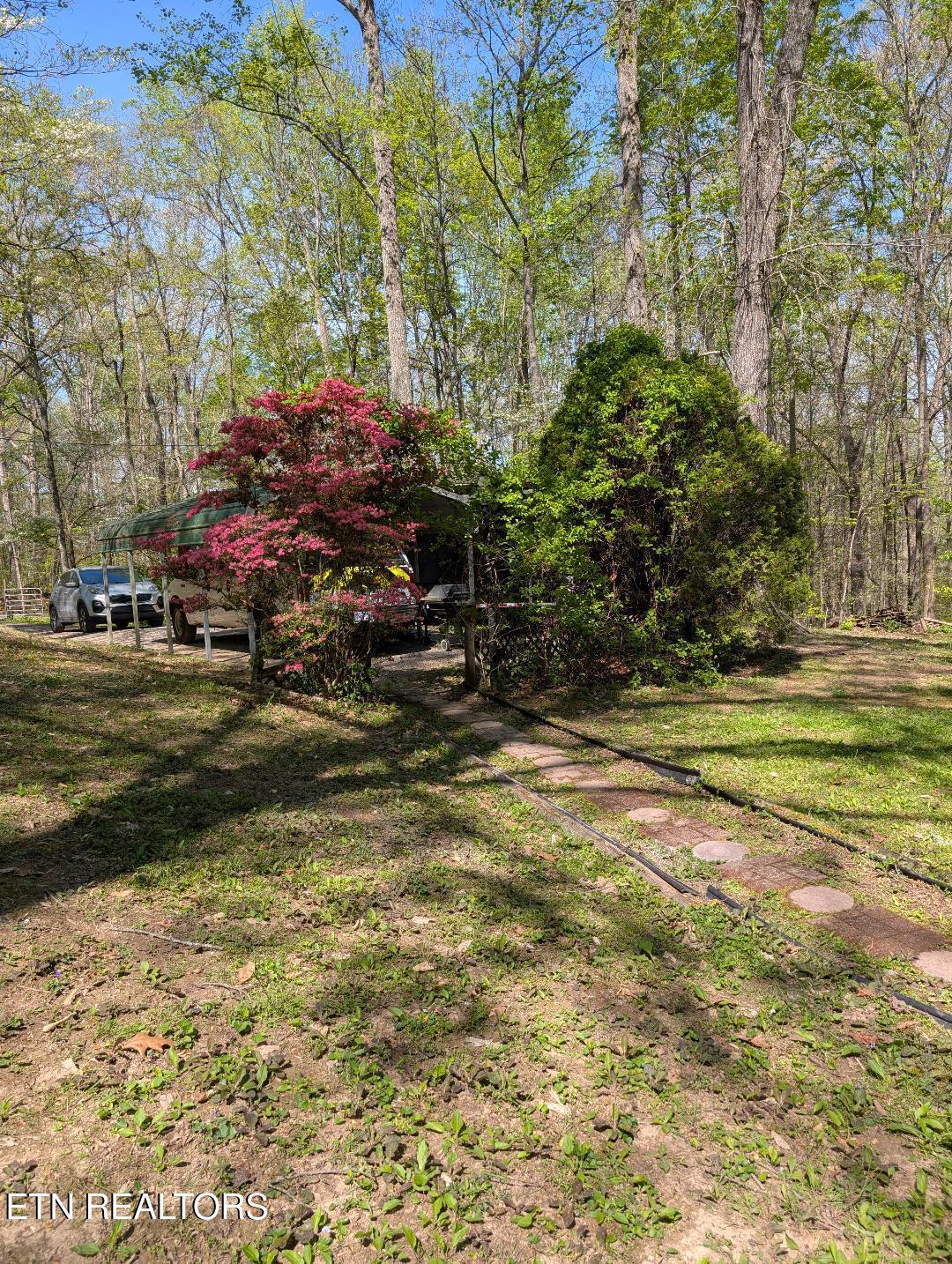 309 Old Jacksboro Pike Heiskell, TN 37754 - Photo 5 of 18 Old Jacksboro walkway