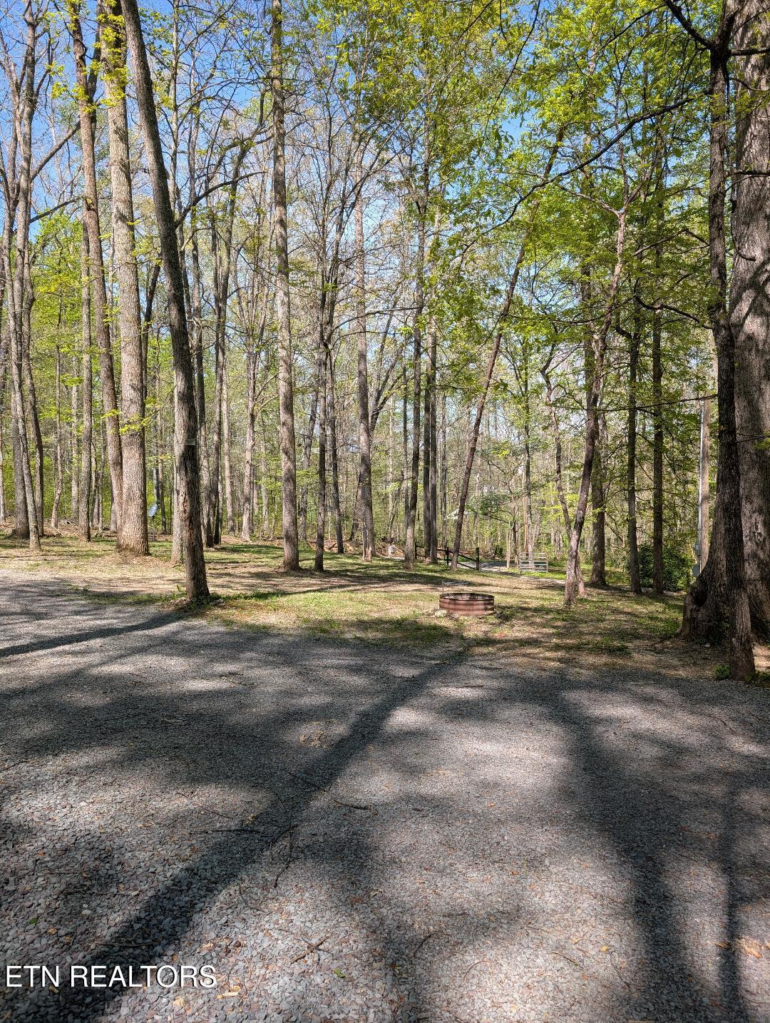 309 Old Jacksboro Pike Heiskell, TN 37754 - Photo 6 of 18 Old Jacksboro Front Yard