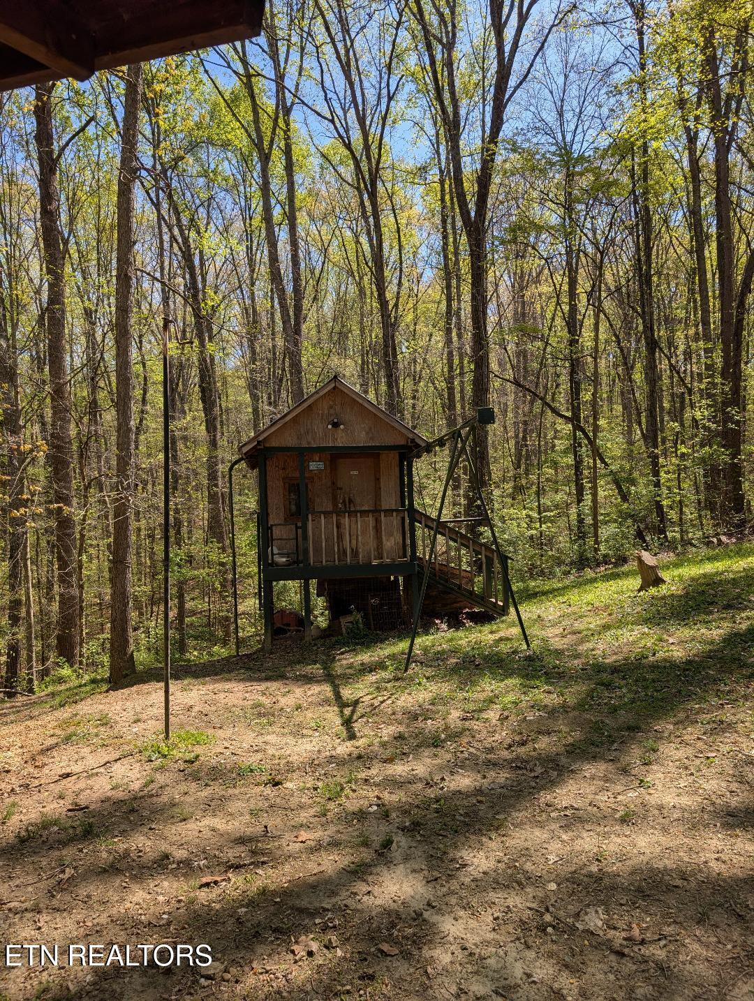309 Old Jacksboro Pike Heiskell, TN 37754 - Photo 7 of 18 Old Jacksboro Playhouse