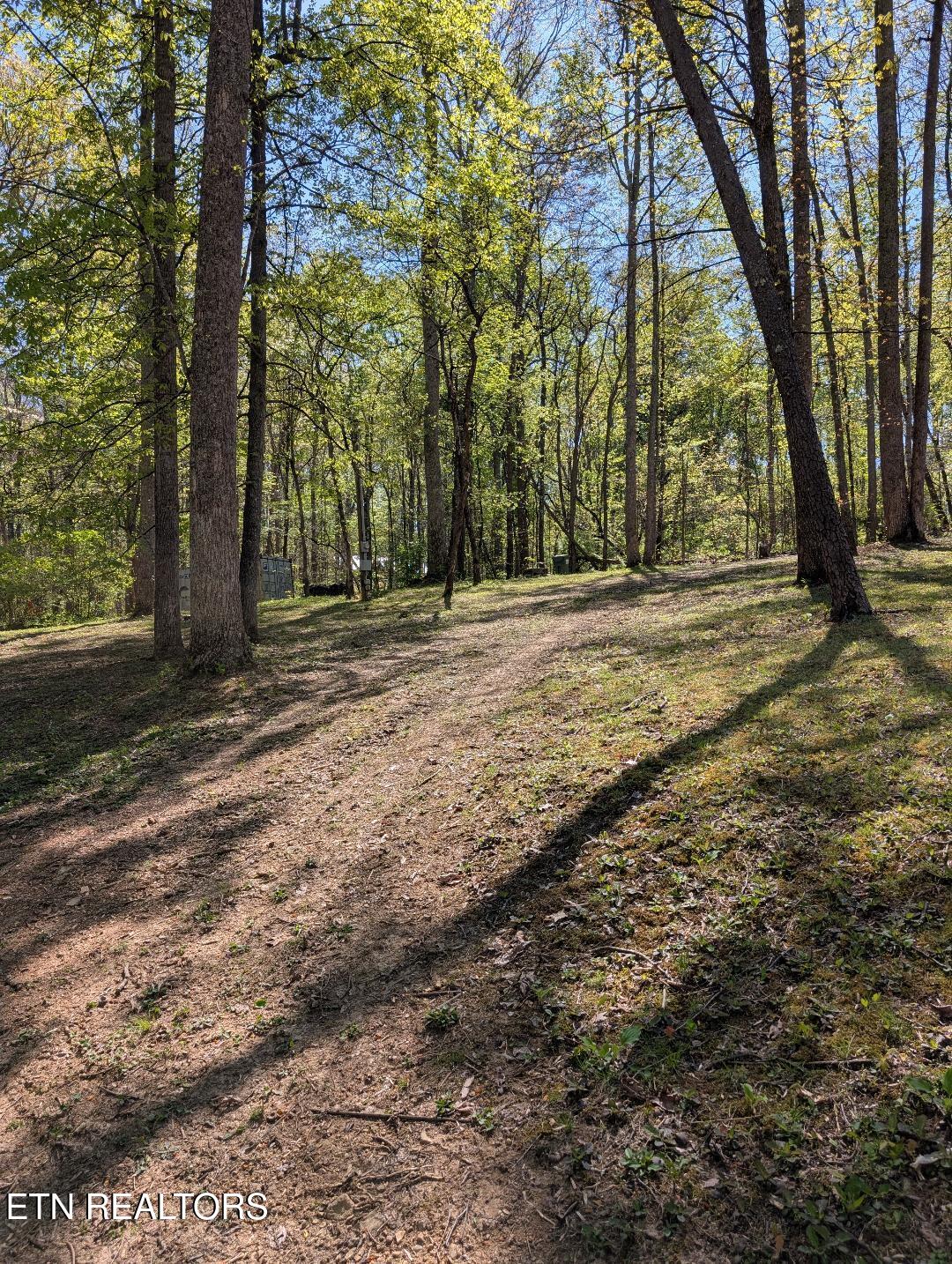 309 Old Jacksboro Pike Heiskell, TN 37754 - Photo 8 of 18 Old Jacksboro Right Side Front