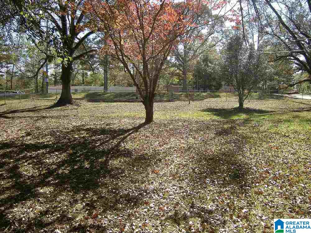 310 Union Chapel Road Northport, AL 35473 - Photo 22 of 29