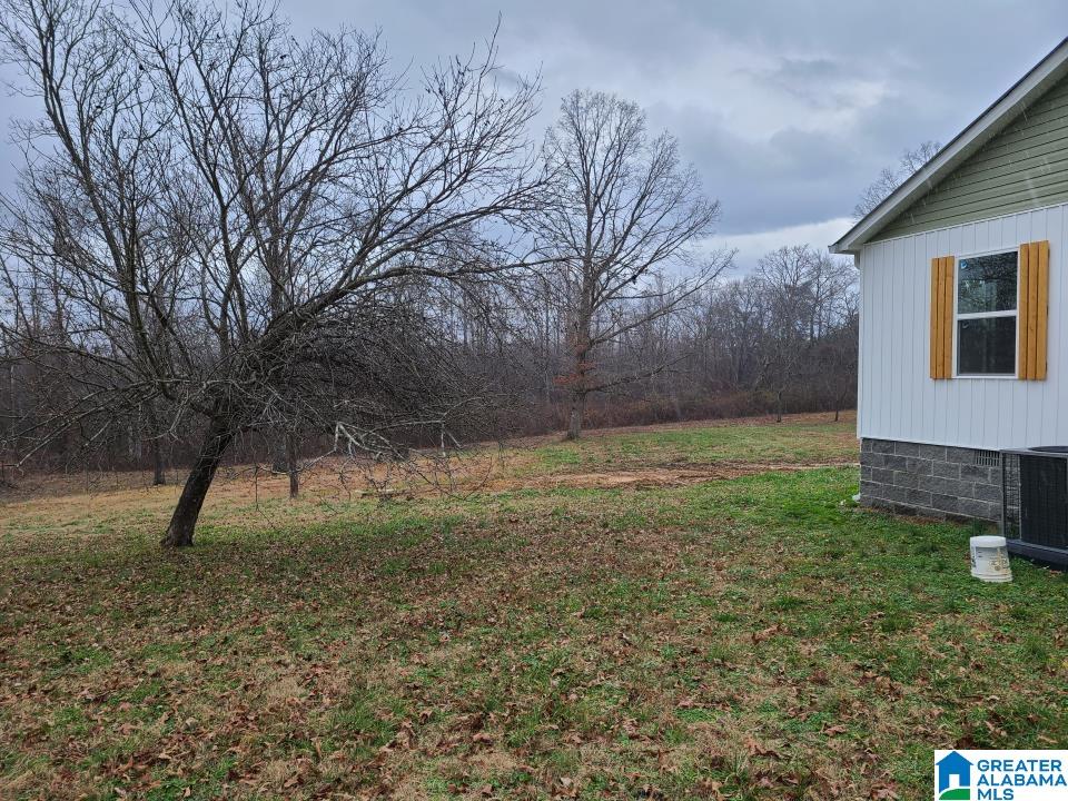 3248 County Road 776 Ider, AL 35981 - Photo 20 of 27