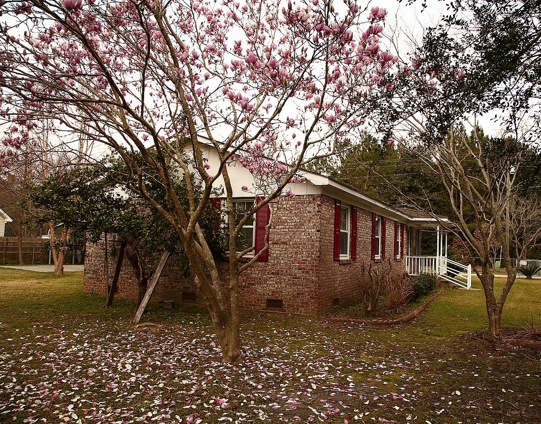 511 Sandy Drive Moncks Corner, SC 29461 - Photo 13 of 16 IMG_6969