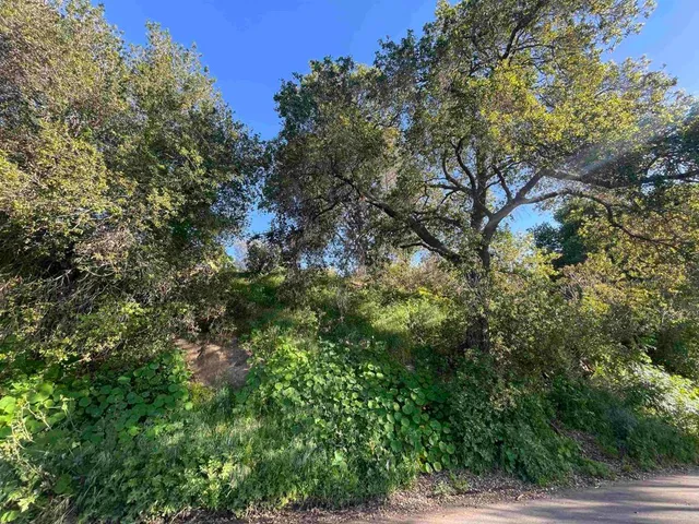 $299,500 | 0 El Granito Avenue, La Mesa, CA 91941