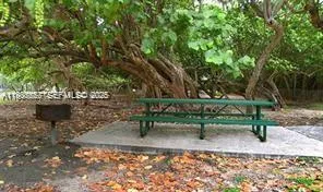 a view of a bench in a backyard
