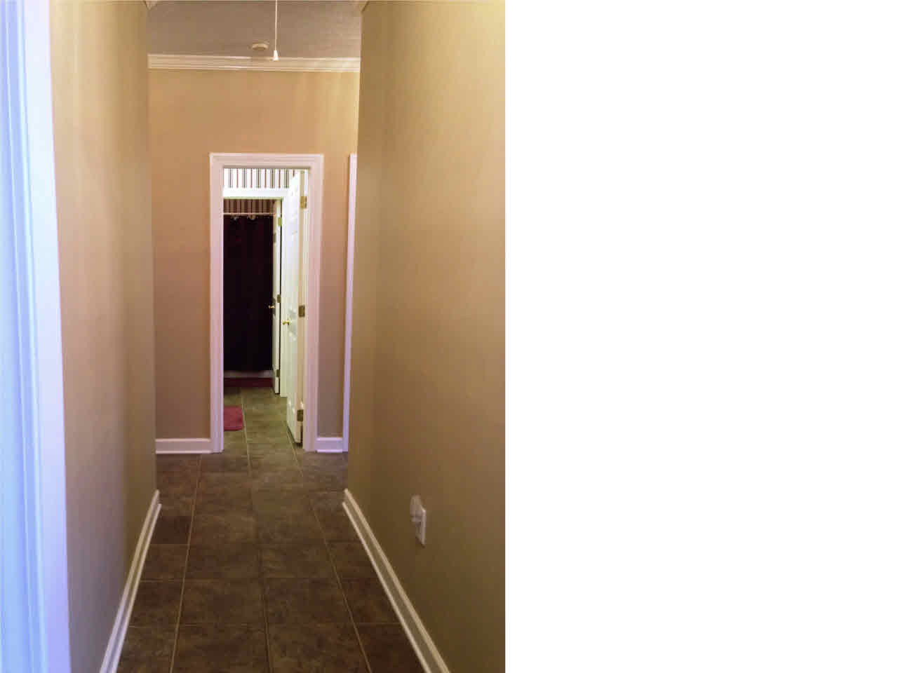 294 Red Eagle Circle Ridgeland, MS 39157 - Photo 26 of 42 Hallway to secondary bath and bedrooms.