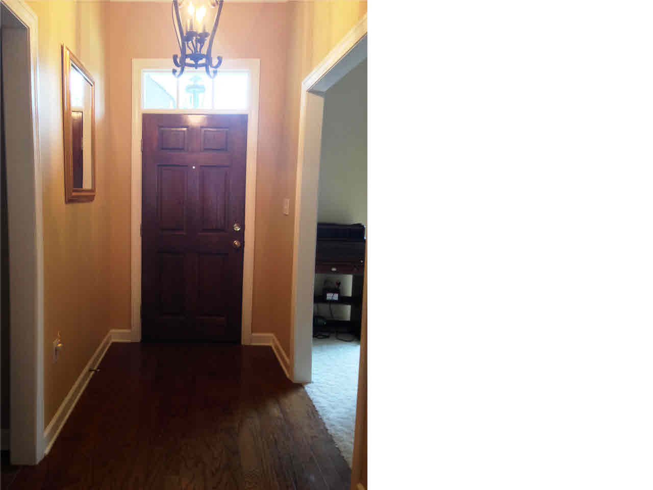 294 Red Eagle Circle Ridgeland, MS 39157 - Photo 3 of 42 Photo 3
