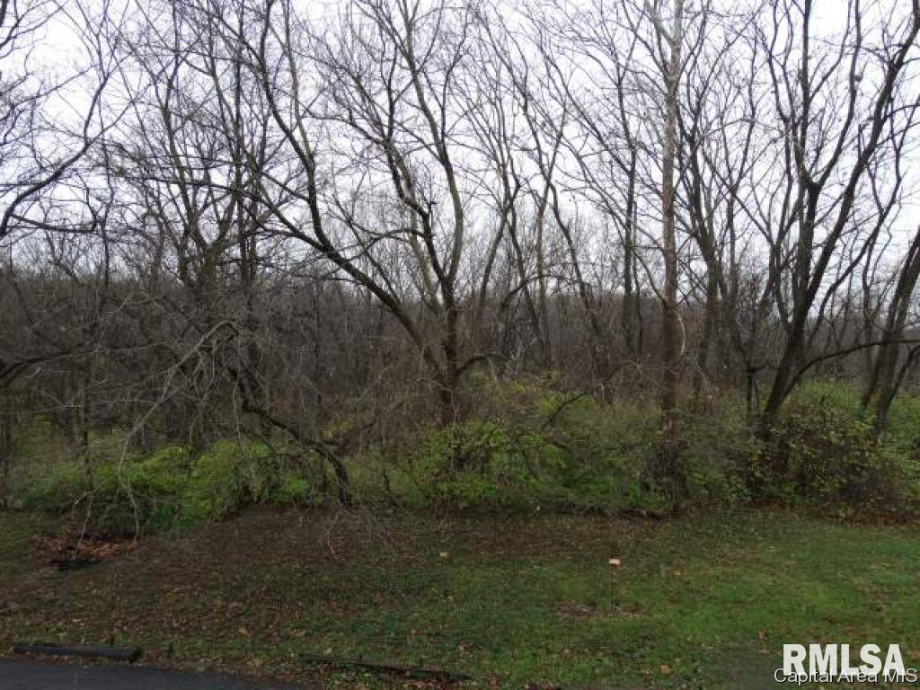 1918 Jeanette Lane, Unit 4 Springfield, IL 62702 - Photo 11 of 11