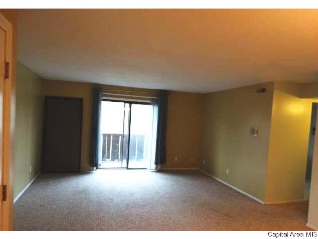 1918 Jeanette Lane, Unit 4 Springfield, IL 62702 - Photo 6 of 11