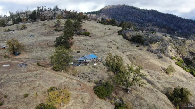 a view of a dry field with lots of trees